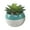 Teal, variant on Flora Bunda Artificial Succulent in Two Tone Pink Ceramic Pot