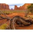 thumbnail image 2 of Jaynes Gallery 18x15 Black Ornate Wood Framed with Double Matting Museum Art Print Titled - Utah-Monument Valley Landscape and dead tree, 2 of 4