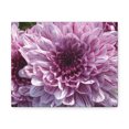 thumbnail image 4 of Pink Dahlia Floral Wall Art Canvas Gift ?? 50% OFF Free Shipping Clearance, 4 of 7