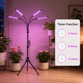 thumbnail image 3 of DAYBETTER Grow Light for Indoor Plants, 4 Heads Full Spectrum Plant Light with Adjustable Stand, 3 Light Modes Grow Lamp with Auto Timer & 10 Dimmable Brightness, 3 of 7