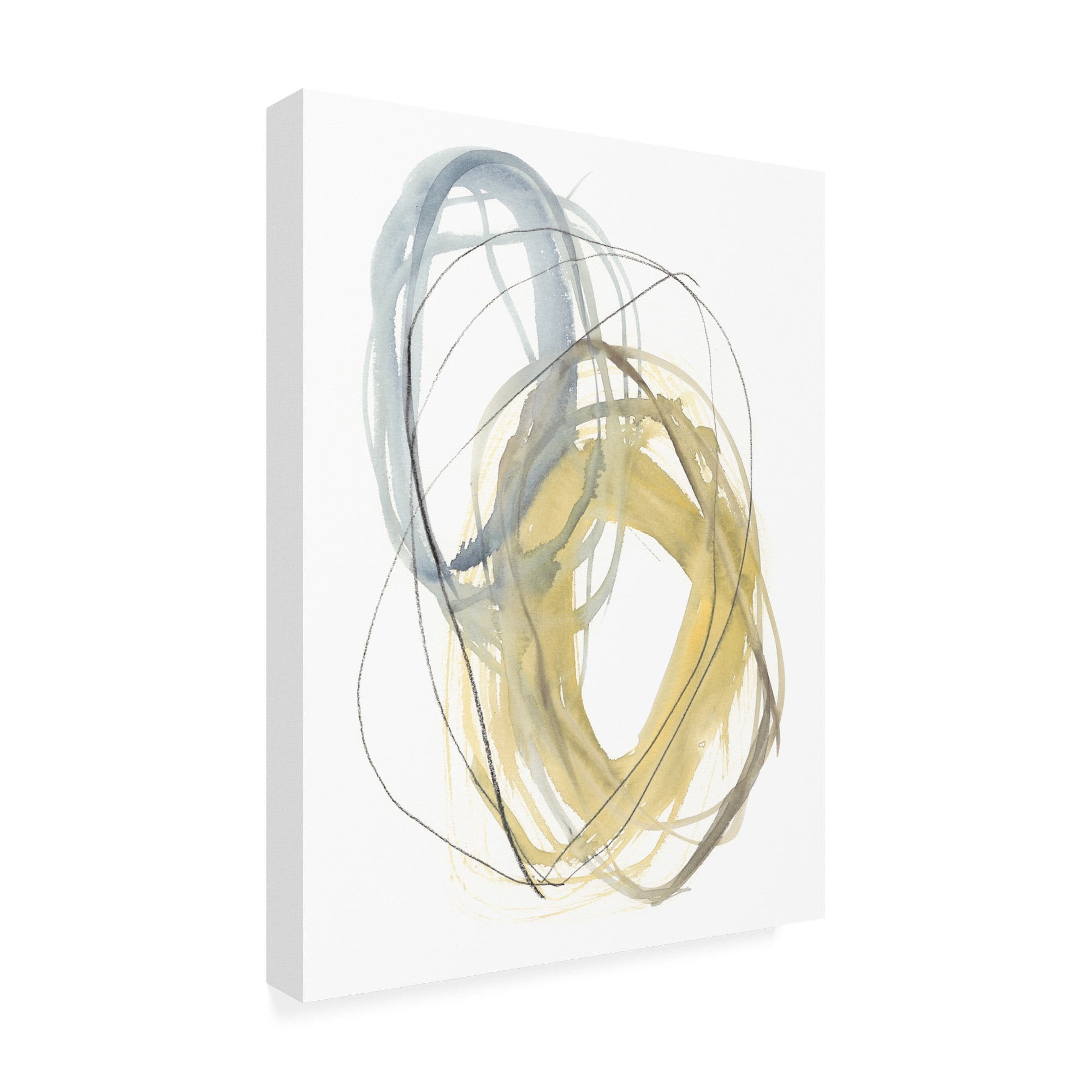 Trademark Fine Art 'Interlock I' Canvas Art by Jennifer Goldberger