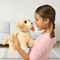 thumbnail image 3 of Little Live Pets Ouchies Deluxe Single Pk Cooper, 3 of 19
