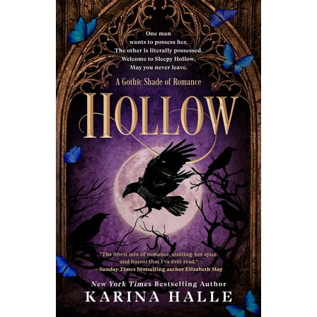 Hollow (Paperback)