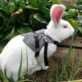 thumbnail image 3 of Rabbit Harness Gentleman Vest Design Walking Safety Fabric Pet Leashes Chest Strap for Bunny, 3 of 8