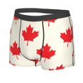 thumbnail image 2 of Fotbe Happy Canada Day Men’s Total Support Pouch Boxer Briefs, X-Temp Cooling, Moisture-Wicking Underwear, Regular, Long-leg and Trunk-XX-Large, 2 of 9