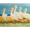 thumbnail image 2 of Baliko, Linda 24x20 Black Ornate Wood Framed with Double Matting Museum Art Print Titled - Coastal Flock I, 2 of 4