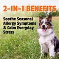 thumbnail image 4 of Pet Naturals Anxiety & Allergy Relief Soft Chews for Dogs, Duck, 90 Count Jar, 4 of 10