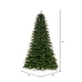 thumbnail image 3 of Vickerman 6.5' x 50" Douglas Fir Artificial UnLit Christmas Tree., 3 of 4