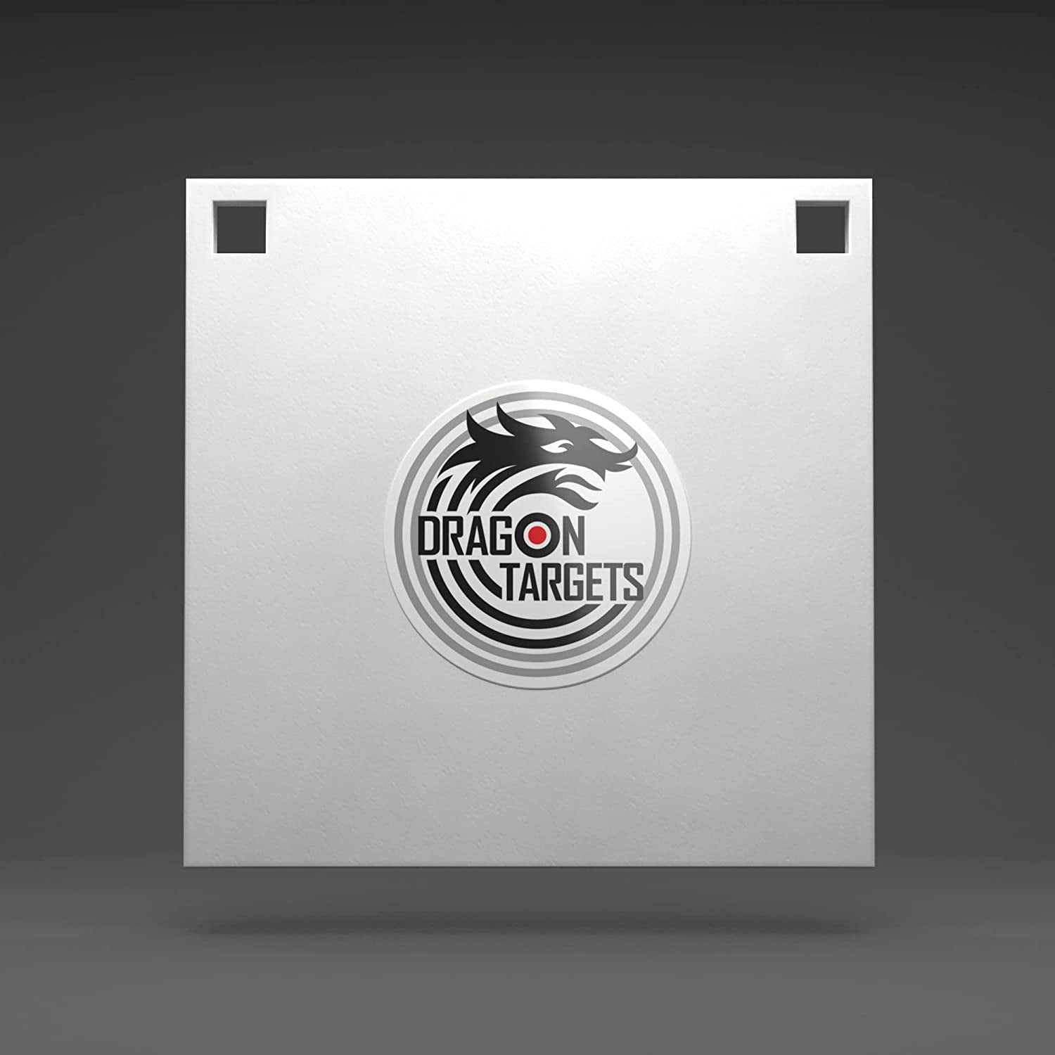 Dragon Targets AR500 Steel Targets for Shooting 3/8 inch Thick Laser Cut, Painted AR500 8" X 8" Square
