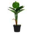 thumbnail image 1 of HOMEMAXS Mini simulación planta en maceta ornamento falso maceta bonsái decoración para el hogar HOMEMAXS 9958515, 1 of 6