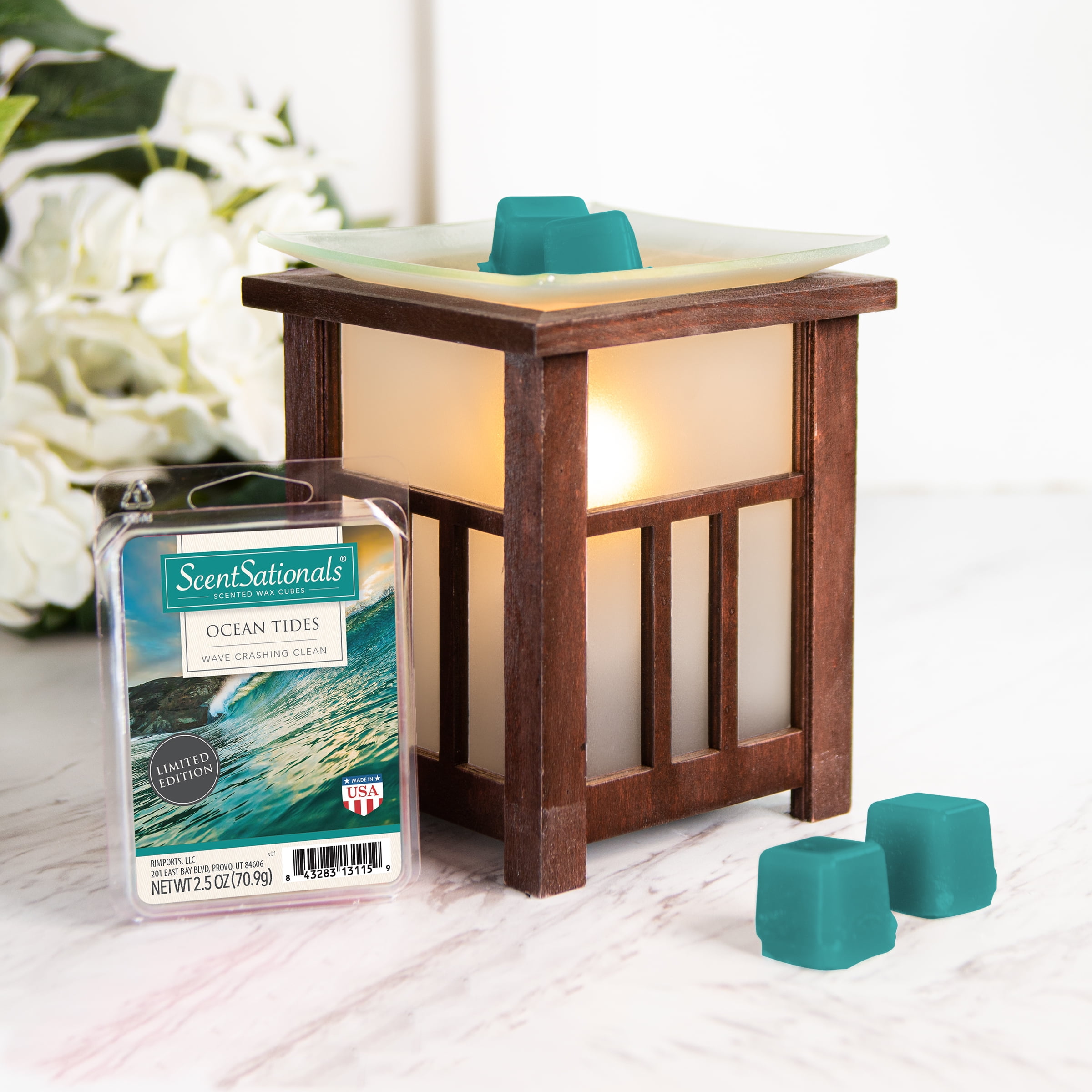 Blast from the Past Collection: Ocean Tides Scented Wax Melts, ScentSationals, 2.5 oz (5-Pack)