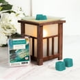 thumbnail image 5 of Blast from the Past Collection: Ocean Tides Scented Wax Melts, ScentSationals, 2.5 oz (5-Pack), 5 of 7