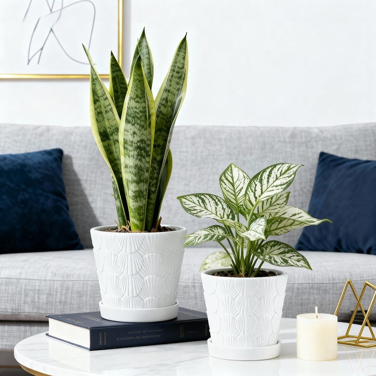 Seashell Embossed Ceramic Plant Pots with Drainage, Set of 2 photo 2