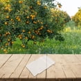 thumbnail image 3 of 100 Pcs Sacs de Protection pour Fruits Sacs de Filet pour Arbres Fruitiers avec Cordon, 3 of 8