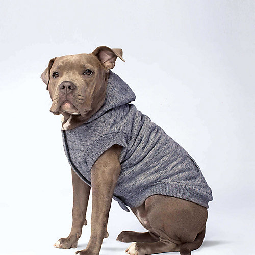 canada pooch caribou hoodie