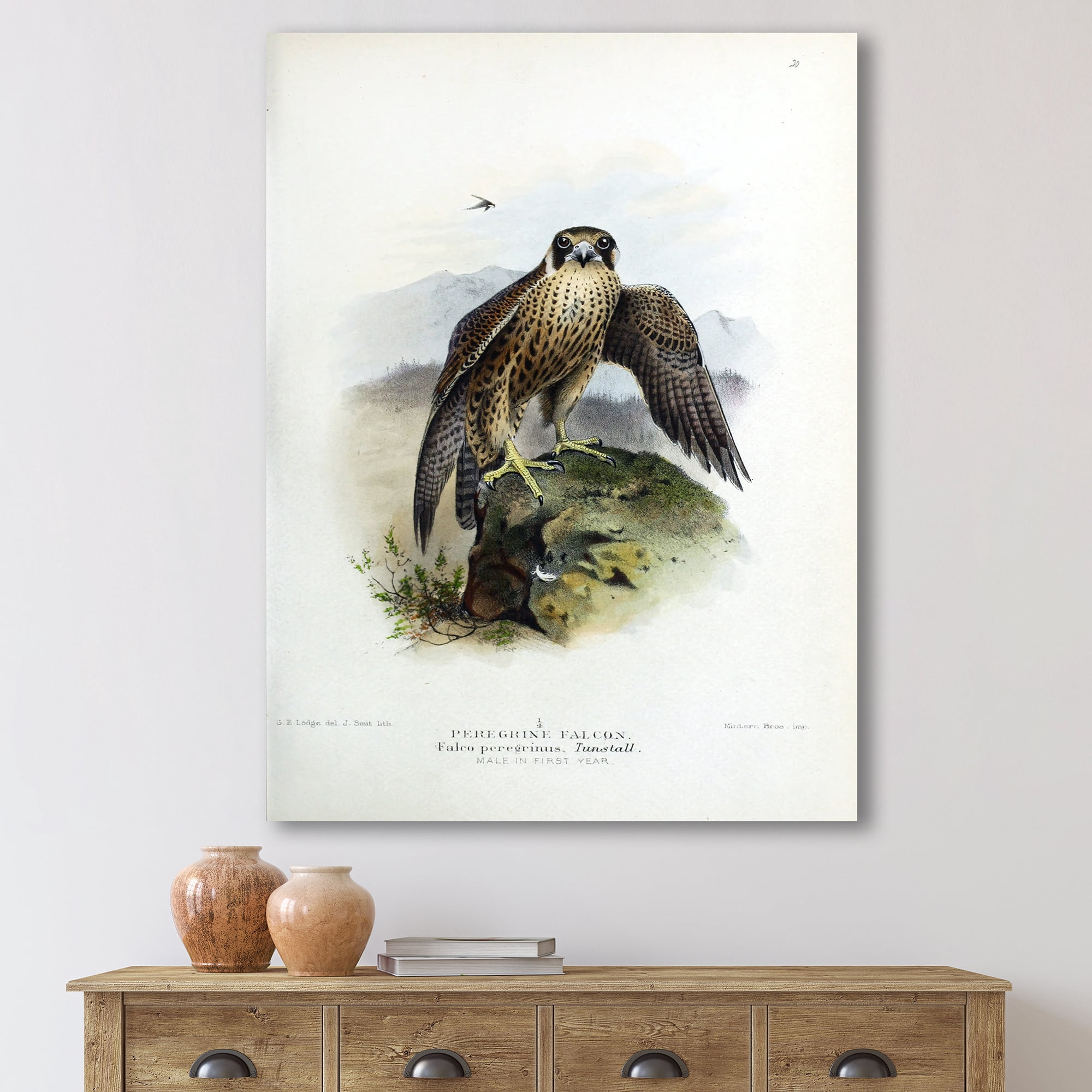 Designart ' Ancient Bird Life VIII ' Traditional Canvas Wall Art Print