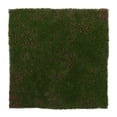 thumbnail image 1 of Miangastore Artificial Moss Mat Fake Grass Rug Indoor And Outdoor Decor Realistic Simulation Turf Artificial Moss Mat For Crafts And Decoration Fake Grass For Terrariums, 1 of 9
