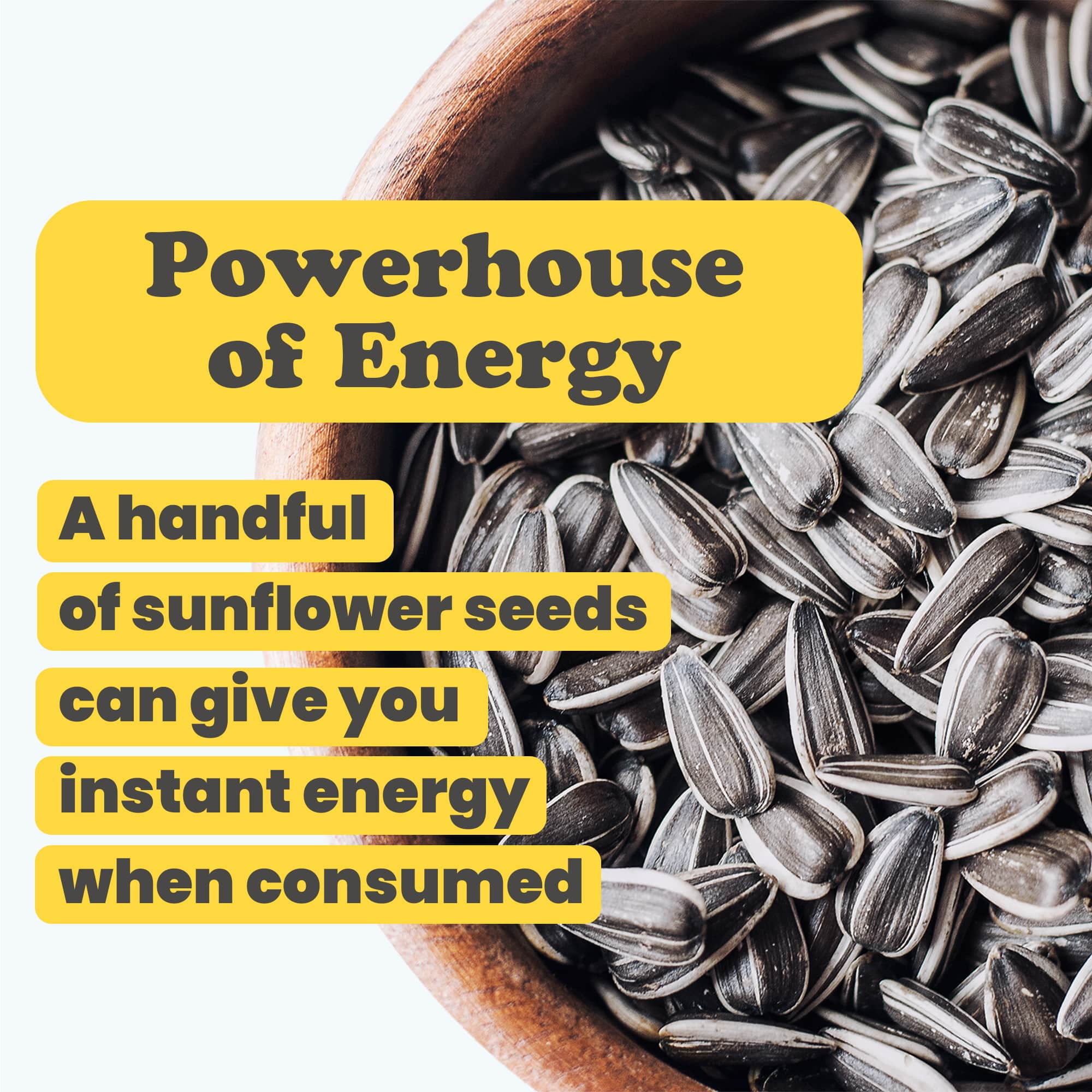 Sunflower Seeds, 2.5 Pounds – In shell, Raw, Vegan, Bulk