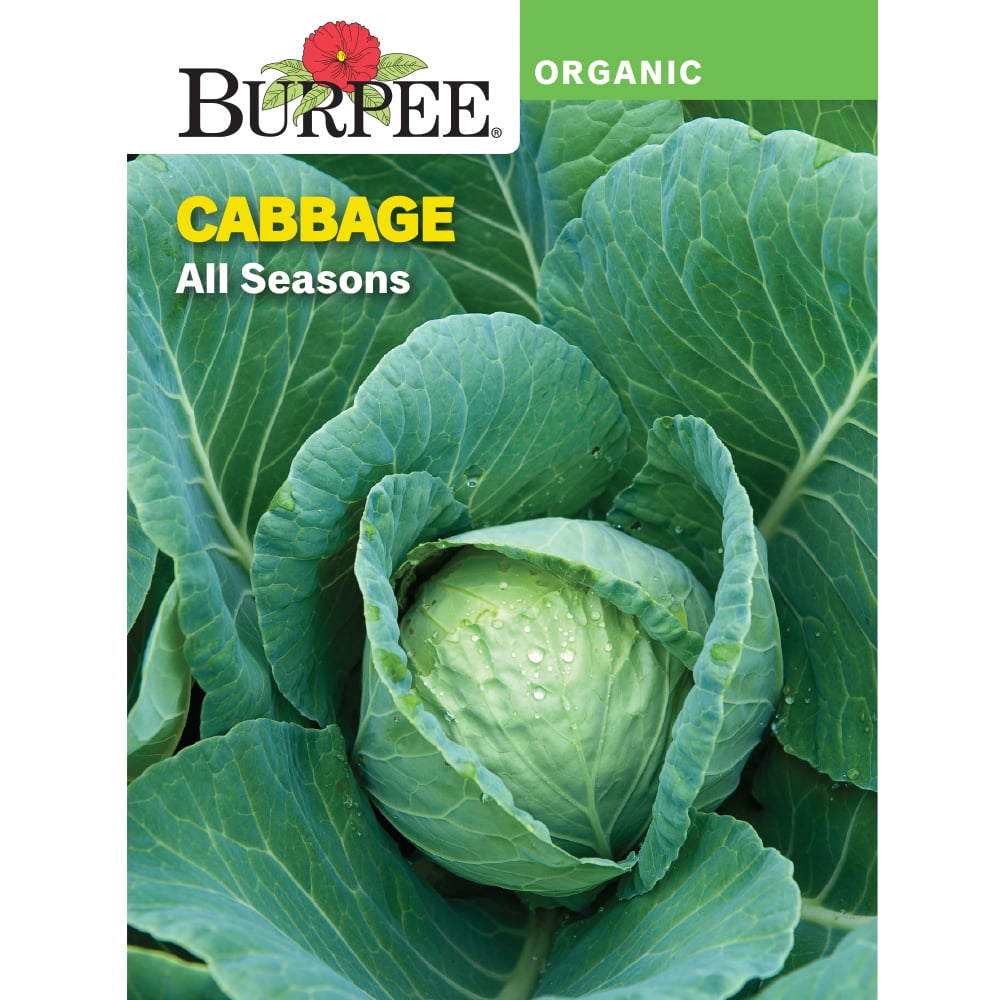 Burpee Organic All Seasons Cabbage Vegetable Seed, 1pack