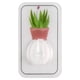 thumbnail image 1 of Fiudx Gancho para Jardín Botánico, Diseño de Succión Sin Dejar Rastro, Material de Pvc Resistente, Porta Toallas y Llavero, Decoración para Baño o Cocina, Fácil de Instalar, Tamaño 7 X 4 Cm, 1 of 2