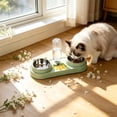 thumbnail image 6 of Qholemyo Multi Purpose 2 In 1 Pet Bowl Pet Food Bowl Food Water Feeding Bowl For Cats And Dogs, 6 of 6