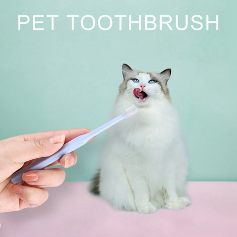 Cat Dog Toothbrush 360 Degree 3 Set Handle Cat Toothbrushes