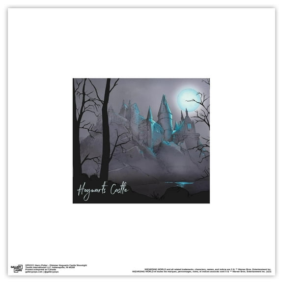 Gallery Pops Harry Potter - Glimmer Hogwarts Castle Moonlight Wall Art, Unframed Version, 12" x 12"