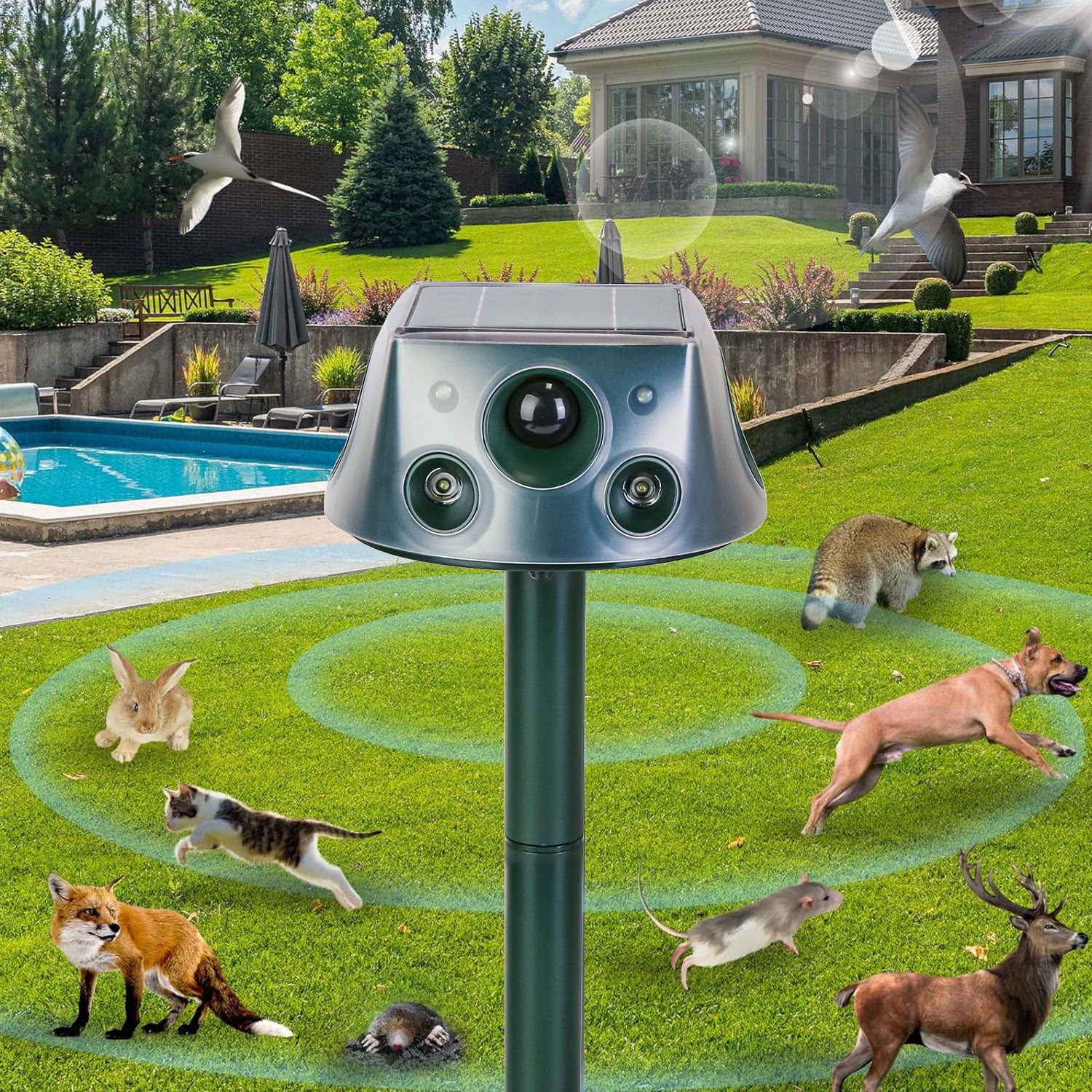 Imountek Solar Animal Repeller Ultrasonic Mole Snake Squirrel Repellent with 3 Modes Motion Sensor