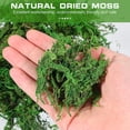 thumbnail image 2 of Paquete de 3 musgo natural seco, 2 of 3