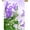 Multi1, variant on Spring Summer Purple Floral Flowers Plant Field Farm Seasonal Garden Yard Flag 12 x 18 Inch, Double Sided Outdoor Decorative Welcome flags Banners for Home House Lawn Patio