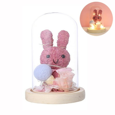 

Gift for her Women s Gift Birthday Gifts Pink Rabbit Night Light Gift Led Light String Last Forever in Glass Dome Unique Gift for Her Graduate Graduation Gift Christmas Cute Thing for Teens