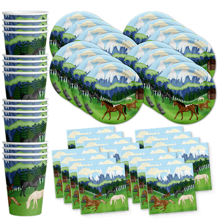 Wild Horse Birthday Party Supplies Set Plates Napkins Cups Tableware Kit for 16