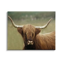Stupell Industries Highland Cattle Shaggy Hair Country Animal Portrait Photography, 20 x 16, Design by Danita Delimont