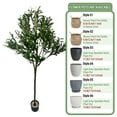 thumbnail image 3 of Colourtree 71" Tall Faux Olive Tree, Realistic Texture Potted Silk Artificial Olive Tree， Fake Olive Trees Indoor Outdoor for Home Office Living Room Bedroom Foyer Porch Decor - Pot Style 05, 3 of 7