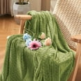 Zhung Ree Sage Green Fleece Throw Blanket for Couch, Super Soft Flannel