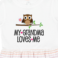 thumbnail image 4 of Inktastic Grandma Loves Me Girls Owl Girls Toddler Dress, 4 of 5