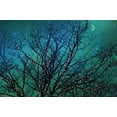 thumbnail image 7 of Marmont Hill "Magical Night" Painting Print on Wrapped Canvas, 7 of 7