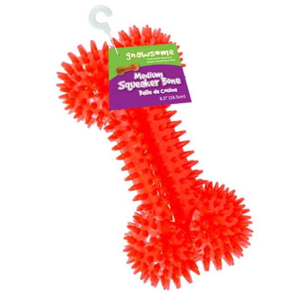 Gnawsome Spiky Squeaker Bone Dog Toy Cleans Teeth and Gums - Assorted