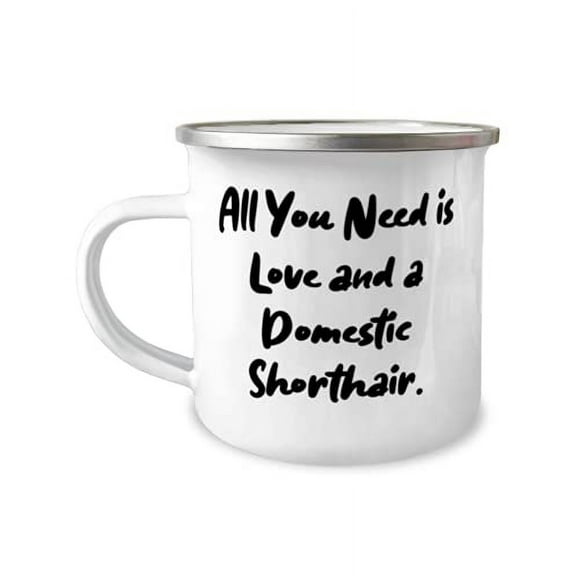 Special Domestic Shorthair Cat Gifts, All You Need is Love and a Domestic Shorthair, Perfect 12oz Camper Mug For Cat Lovers From Friends