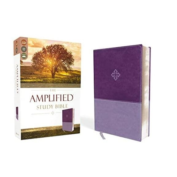 Pre-Owned Amplified Study Bible, Imitation Leather, Purple (Imitation Leather) 031044652X 9780310446521