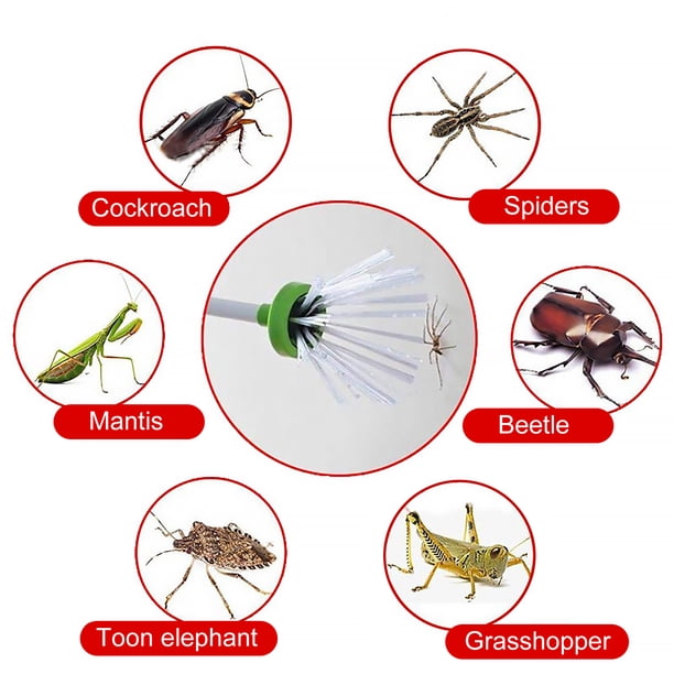 Spider Catcher - Mango extralargo duradero con cerdas Trampa Bug Catcher Ndcxsfigh Nuevos Originales