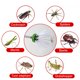 thumbnail image 1 of Spider Catcher - Mango extralargo duradero con cerdas Trampa Bug Catcher Ndcxsfigh Nuevos Originales, 1 of 8