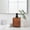 Amber, variant on Evideco French Home Goods Glass Gray Novelty Modern Country 18 oz Commercial Soap & Lotion Dispenser