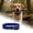 Blue, variant on Adjustable PVC Dog Collar, Waterproof Chew Proof Pet Collar with Double Buckle, Heavy Duty D Ring Strap for Small Medium Large Dogs, 21.7 Inches