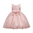 thumbnail image 2 of Huowey Girls Toddler Birthday Party Formal Dresses Elegant Lace Floral Embroidery Crewneck Sleeveless Maxi Dress Sparkly Sequins Glitter Fairy Tiered Layered Tutu Tulle Ball Gowns,Pink,2-3 Years, 2 of 8