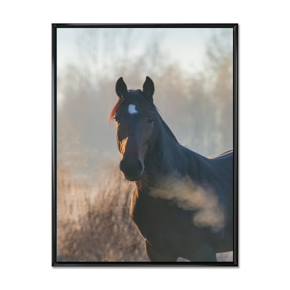 Designart 'Close Up Portrait Of A Horse On An Autumn Morning' Farmhouse Framed Canvas Wall Art Print