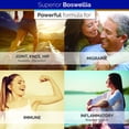 thumbnail image 6 of Superior Labs Boswellia Extract 500mg 65% Boswellic Acids with Bioperine Non-GMO Joint & Immune Support Vegan 240 Count, 6 of 9