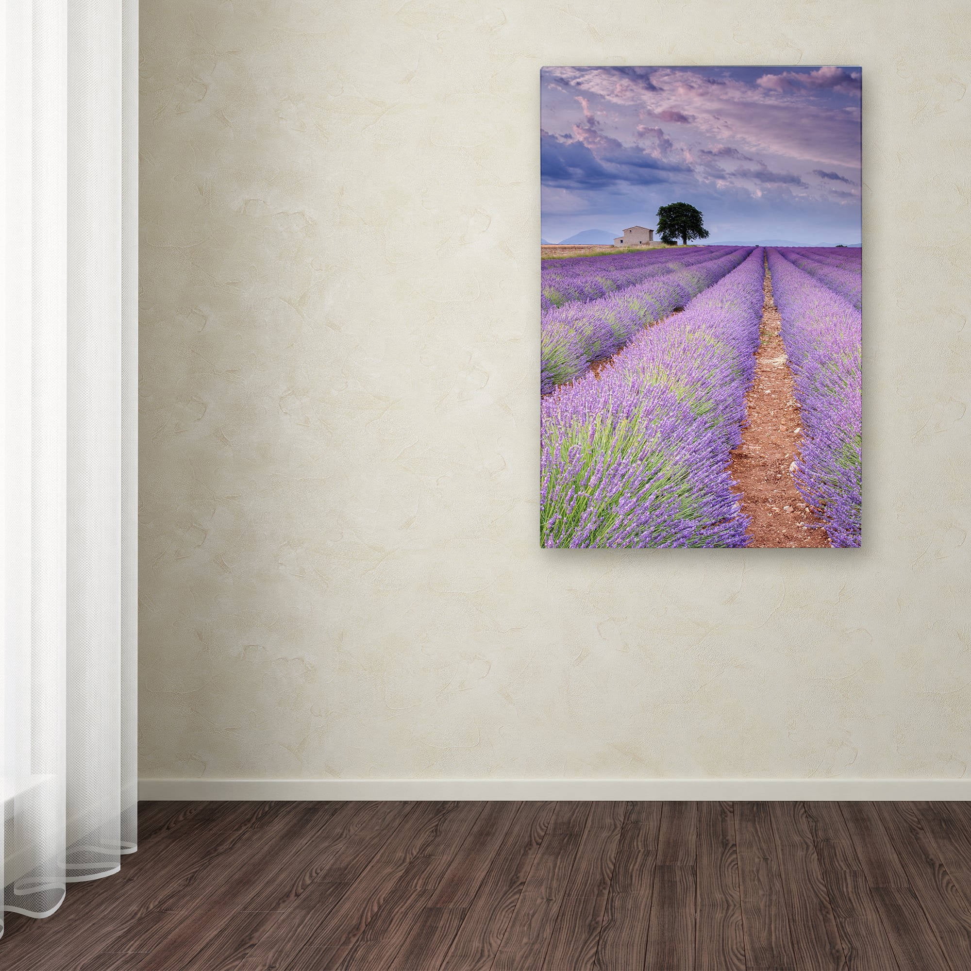 Trademark Fine Art "Rows Of Lavender" Canvas Art by Michael Blanchette Photography
