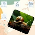 thumbnail image 3 of Snail Square Desk Mat, 8.3x9.8 Inch, Non-Slip Rubber Bottom, Printed, Suitable for Office and Gaming - Gaming Mousepad and Mouse Pad, 3 of 6