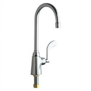 Chicago Faucet Gooseneck,Chrome,Chicago Faucets,350 350-317XKABCP